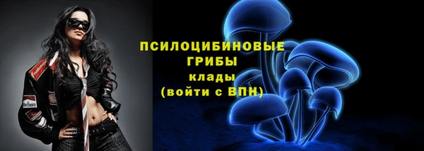 бошки Дмитровск