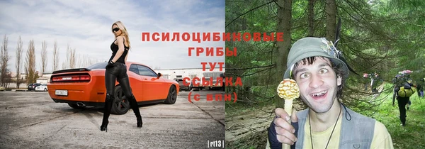 не бодяженный Дмитров
