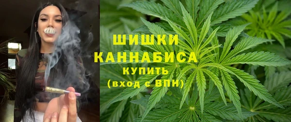 не бодяженный Дмитров