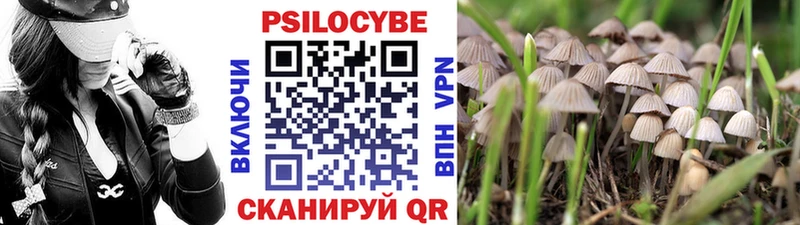 Псилоцибиновые грибы мухоморы  Купить закладки  Печора 